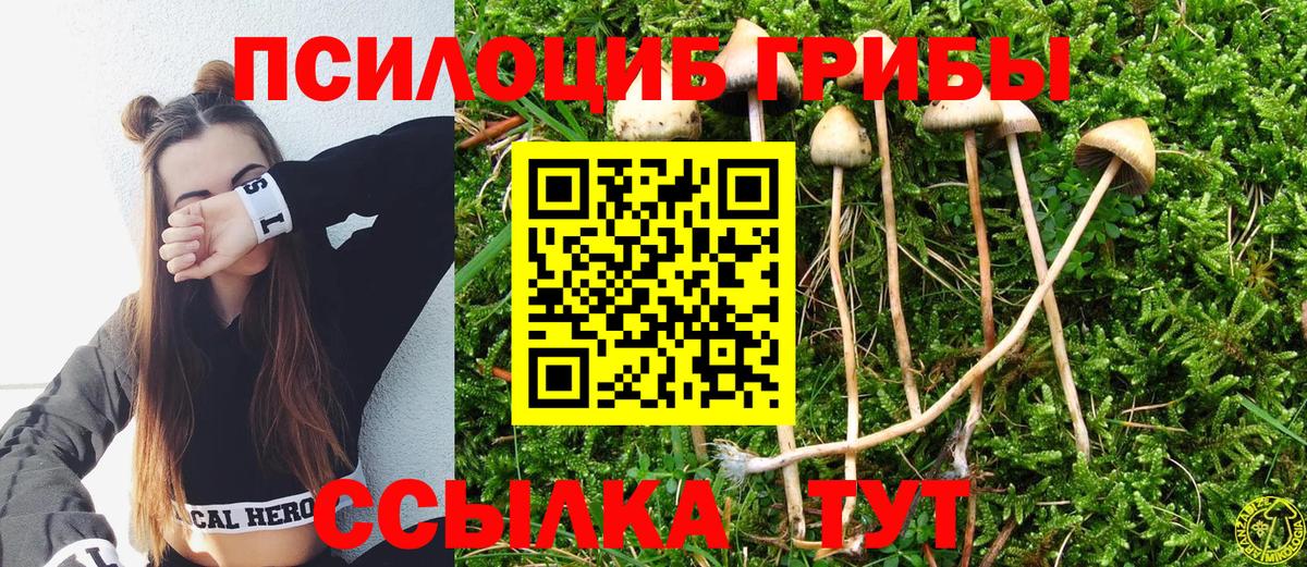 Псилоцибиновые грибы прущие грибы  Вход с VPN  Златоуст 